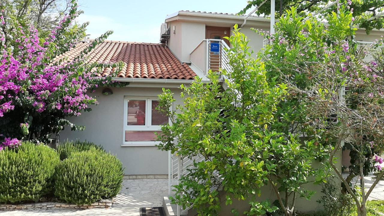 Haus Mirela Apartment Ližnjan Exterior foto